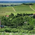 Dom wakacyjny Vineas Vendeghaz Siklós