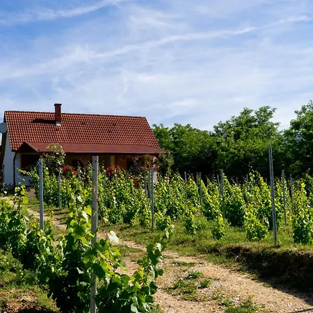 Дом отдыха Vineas Vendeghaz