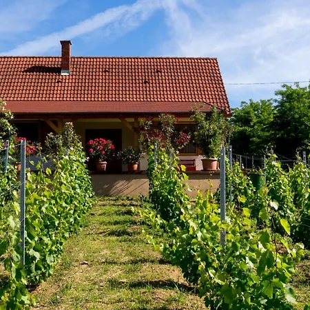 Vineas Vendeghaz Ferienhaus