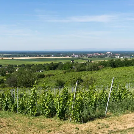 Vineas Vendeghaz Ferienhaus *