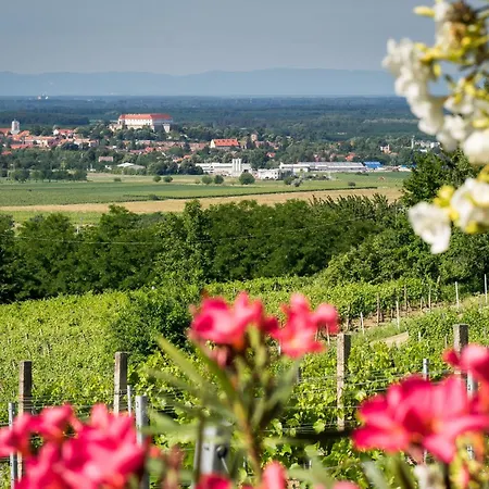 Vineas Vendeghaz Ferienhaus