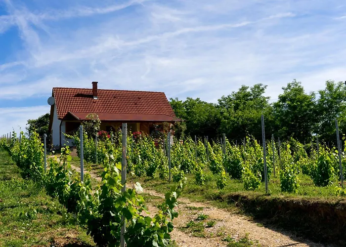 Дом отдыха Vineas Vendeghaz