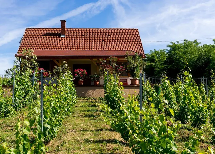 Vineas Vendeghaz Дом отдыха