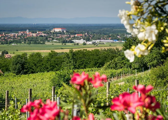 Vineas Vendeghaz Дом отдыха