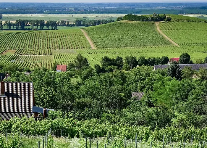 Дом отдыха Vineas Vendeghaz Шиклош