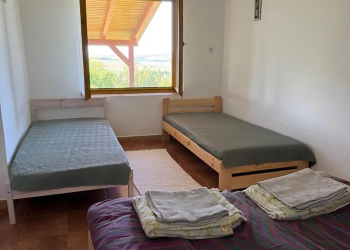 Vineas Vendeghaz * Шиклош